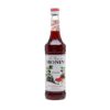 MONIN - Grenadine Syrup 700 ML.