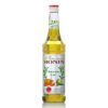 MONIN – Agave Syrup 700 ML. MONIN – Agave Syrup 700 ML.