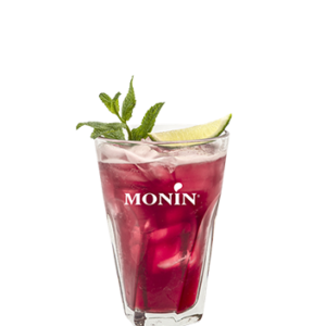 Alternative view of MONIN - Blueberry Syrup 700 ML.