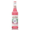 MONIN - Bubble Gum Syrup 700 ML.