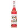 MONIN - Flower Blossom Syrup 700 ML.
