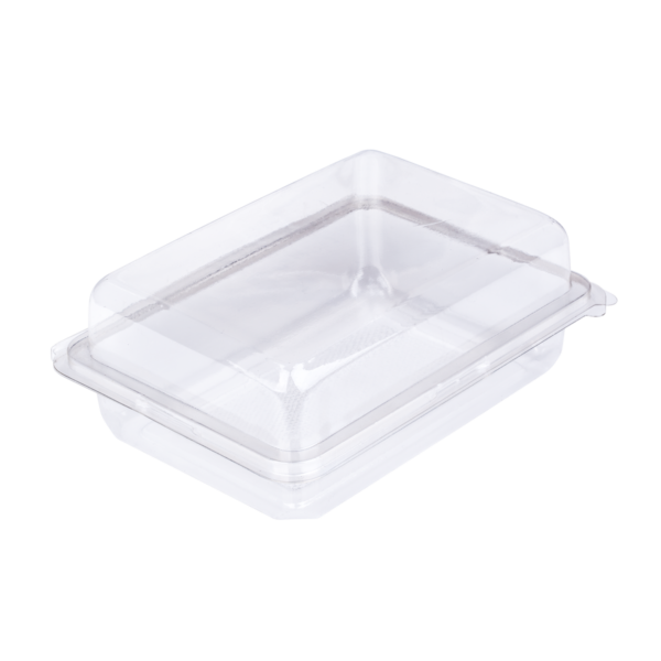 กล่องพลาสติกฝาพับ ขนาด 10.3×15.1×6.2 ซม. E133