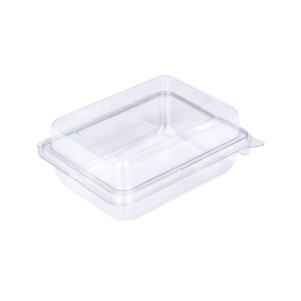 กล่องพลาสติกฝาพับ ขนาด 8.6×11.7×5.3 ซม. E20