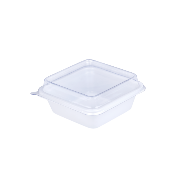 กล่องพลาสติกสำหรับใส่อาหารและฝา ขนาด 16.2×22.0x4.0 ซม. E49