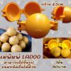 พิมพ์ MODAK พิมพ์ MODAK